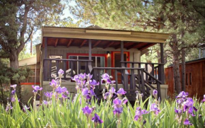 Carter`s Charm Cabin